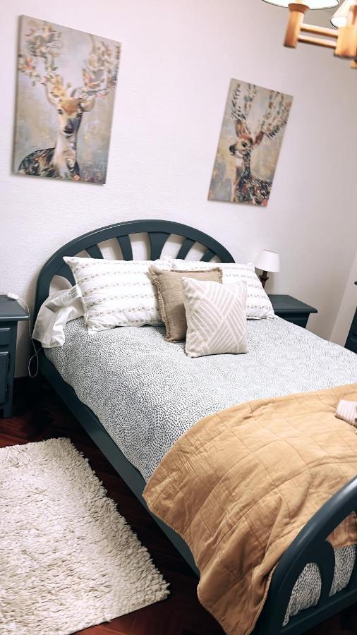 Canfranc Home المظهر الخارجي الصورة